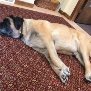 Meet your Posher, Trevor